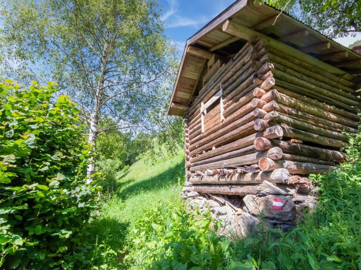 Cosy Holiday Home At The Wildkogel Bramberg am Wildkogel Dış mekan fotoğraf